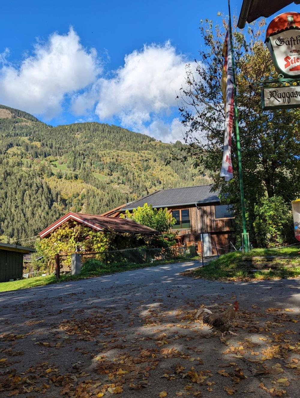 Chalet Schmelz Huette Mit Sauna Und Garten Flattach Exterior foto
